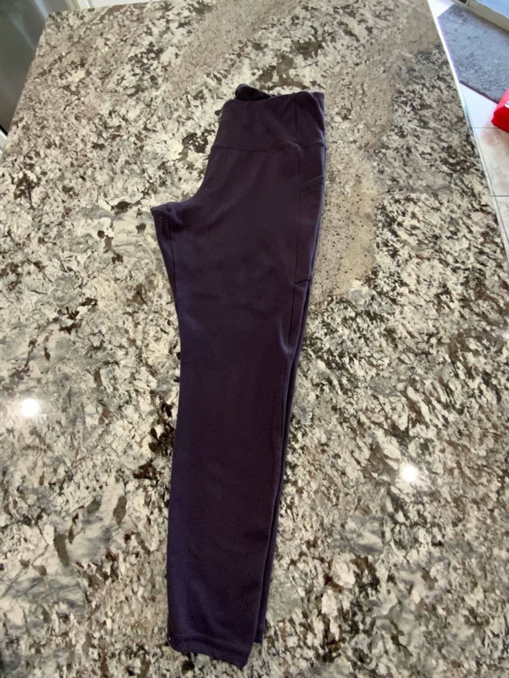 Danskin Active Leggings